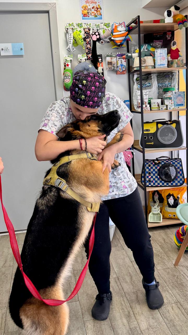 Servicios Veterinarios en Concepción