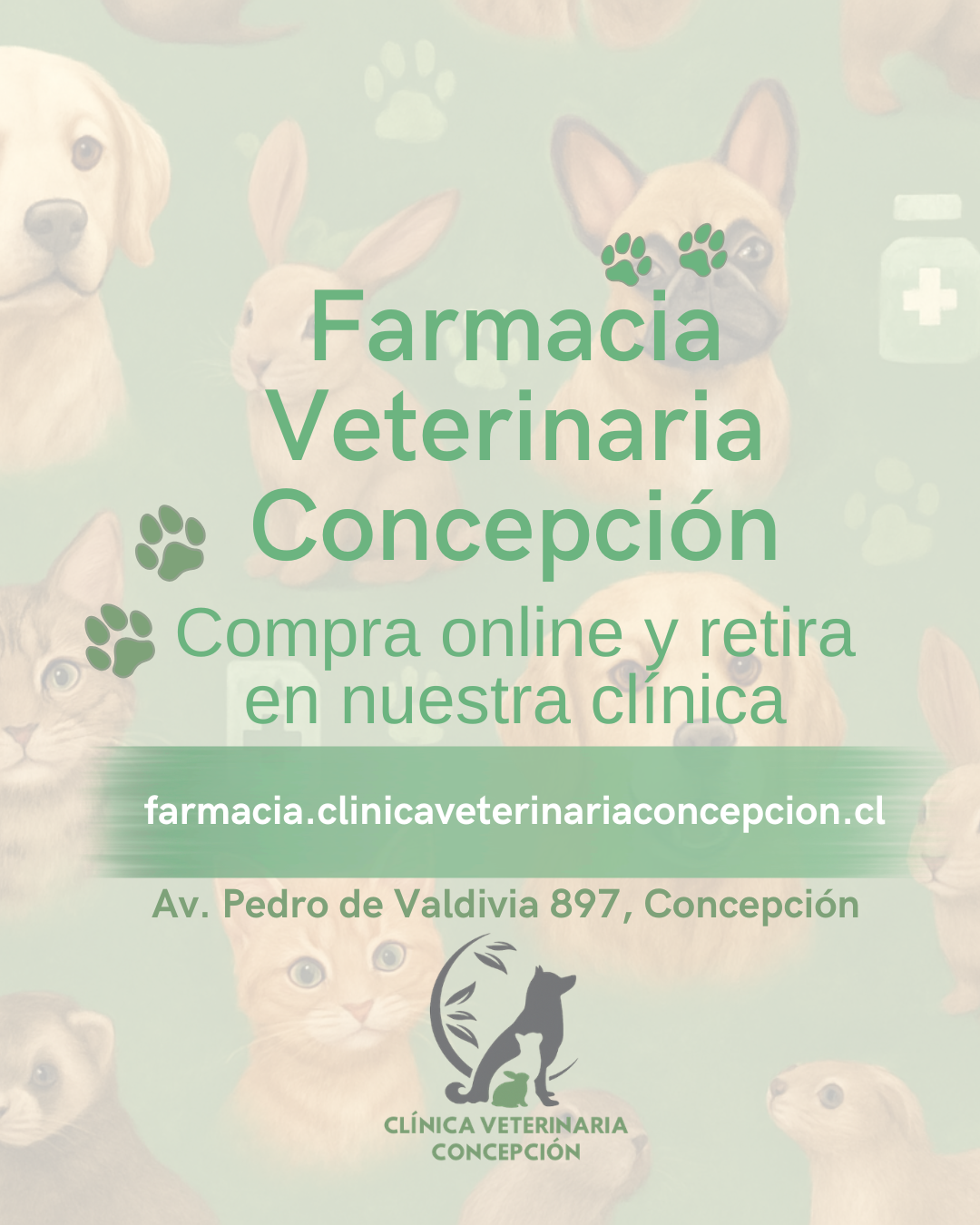 Farmacia Veterinaria en Concepción
