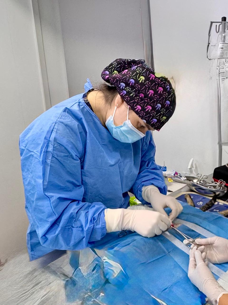 urgencias de animales exóticos en Concepción